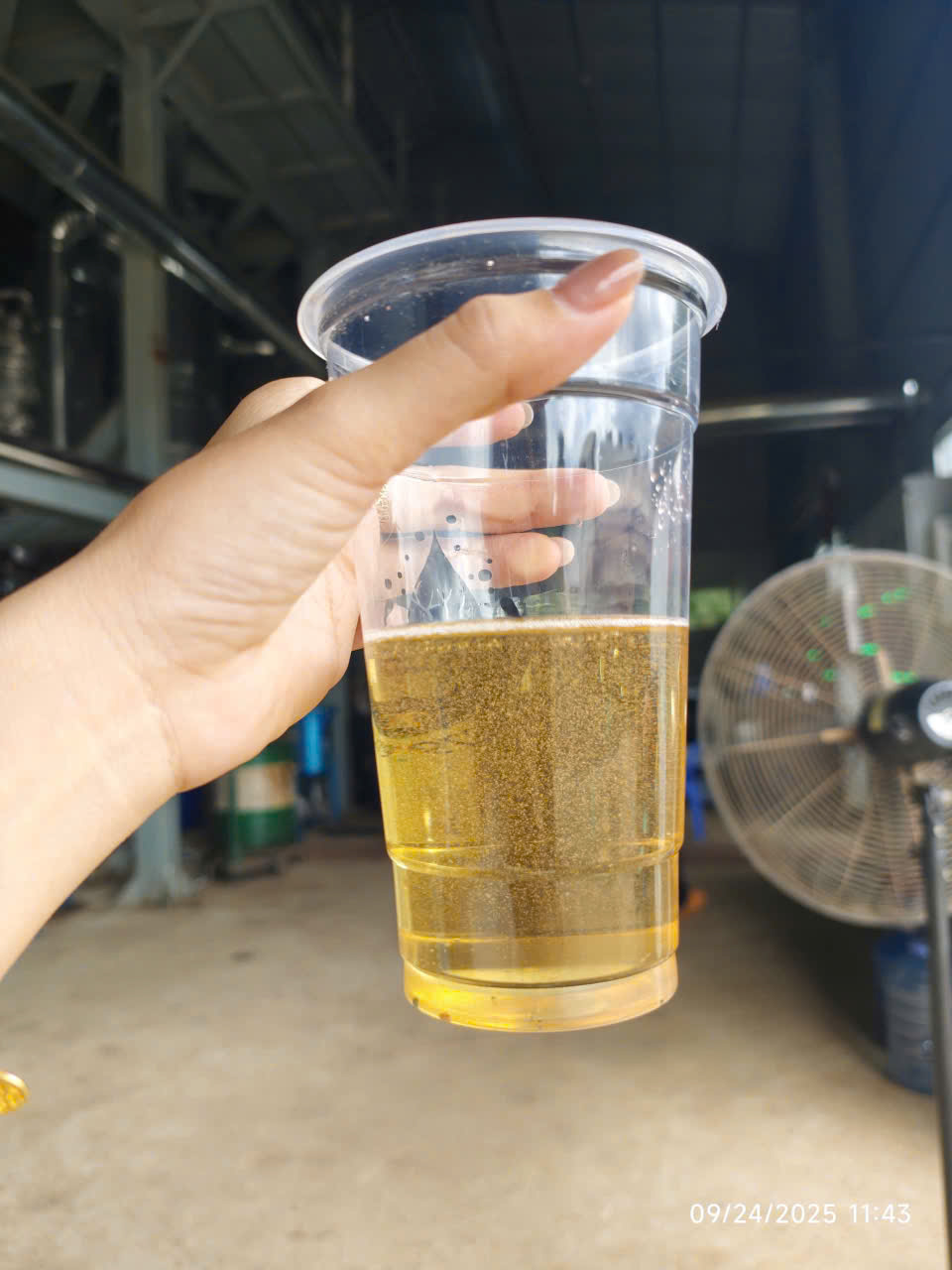 Trong Ly Dep Cardanol